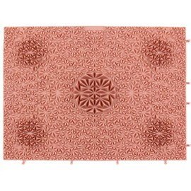 Hb003 Foot Massage Goods Foot Mat Exciting Beauty Mat for Your Room (Rose Pink)