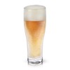 Viski Glacier Double Walled Beer Glass with Active Cooling Gel,