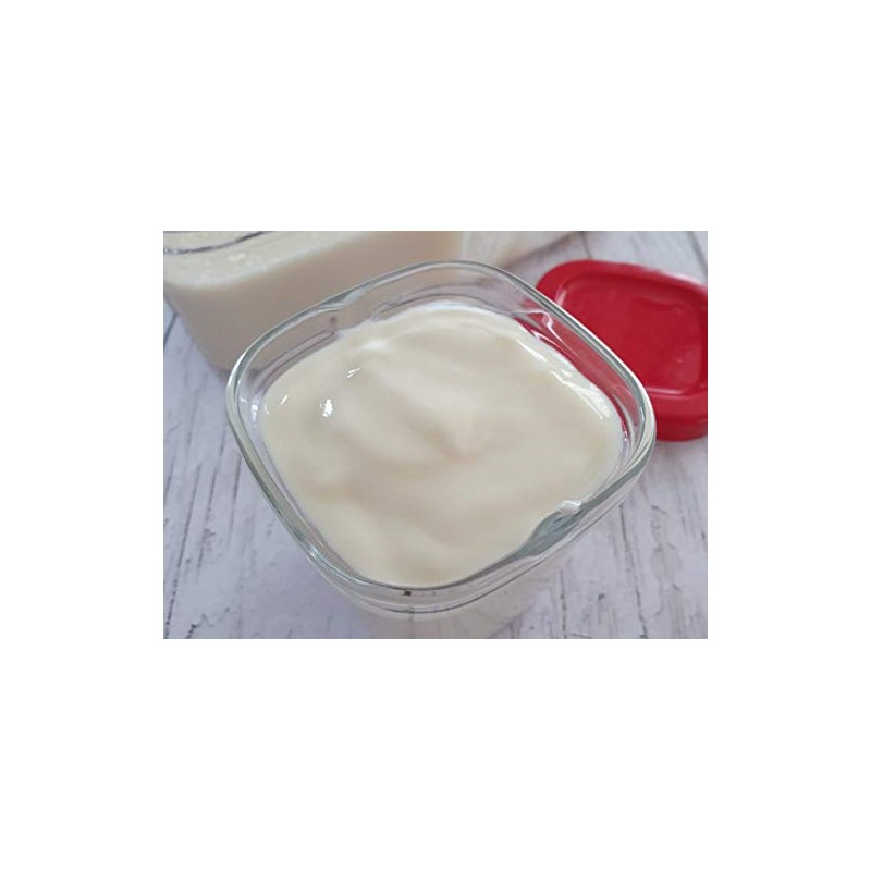 Alsa lactic ferments special yogurt - my house creamy yogurt
