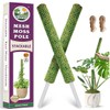 DUSPRO Green Stackable Mesh Moss Pole for Plants Climbing Vine
