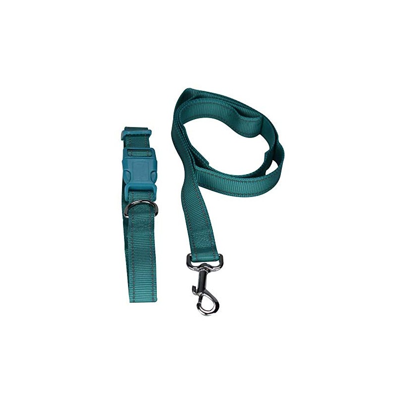 Fancy Pets Correa con Collar de Nylon para Perro con