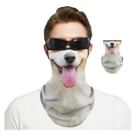 Pasamontañas Motos Diseño Perro Bandana Perro Creativo Motos Multicolor Estampada Unitalla