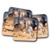 4 Set - Beautiful Horses Coaster - Equine Animal Wild