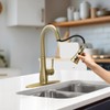 WEWE Vintage Kitchen Faucet with Pull Down Sprayer, Stainless Steel
