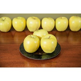 Golden Delicious Apple Tree - Size: 3-4', Live Plant, Includes Special Blend Fertilizer & Planting Guide