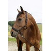 Kerbl GoLeyGo 2.0 Horse Lead Rope with Click Magnetic Closure,