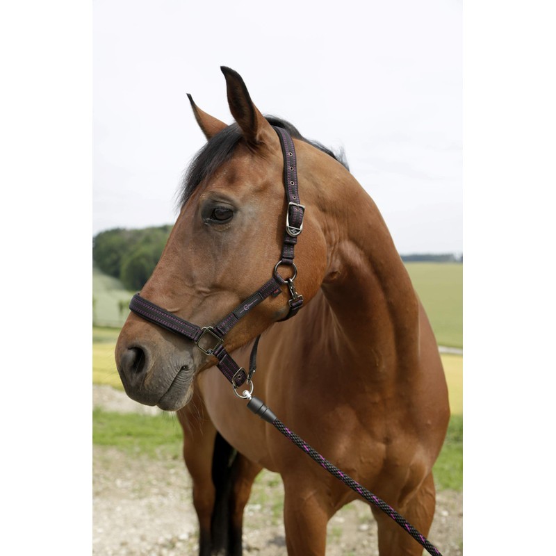 Kerbl GoLeyGo 2.0 Horse Lead Rope with Click Magnetic Closure,