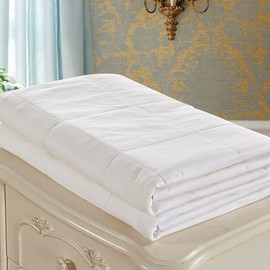 LilySilk 100% Silk Duvet/Comforter Queen, White, Cool for Summer, Warm for Fall&Winter, Machine Washable Long Strand Silk Quilt, 100% Cotton Cover-Oeko-Tex Quality Certified-0.55kg, Twin 67’’x87inch’’