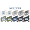 Bathworks Cabinet & Furniture Paint - Satin Finish, Easy Application,