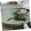 Sosoport Real Turtle Pet Toy Mini Skateboard Scooter for Bearded
