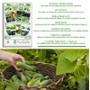 Classic Cucumber Collection Variety 8-Pack Home Garden Starter Kit by