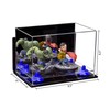 Better Display Cases Versatile Acrylic Display Case - Small Rectangle