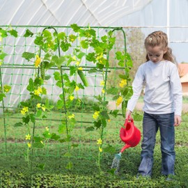 Garden Cucumber Trellis for Climbing Plants Outdoor, 48 x 48 inch U-Shape Garden Trellis, Tomato Cage for Garden Raised Bed - Green