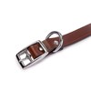 King Buck Leather Dog Collar with D Ring, Leather, Small