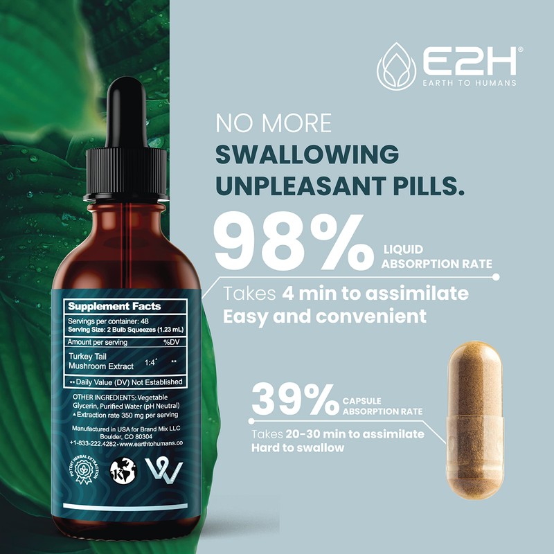 Turkey Tail Mushroom Extract - Faster Absorption Than Turkey Tail