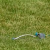 GILMOUR Gilmour Adjustable Rectangular Lawn Sprinkler, Water Sprinkler for Large