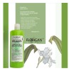 Shampoo De Bergamota, Cola De Caballo Florigan 1 Lt