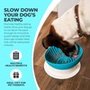 Slow Feeder Dog Lick Bowl 2in1 Set – Elevated Silicone