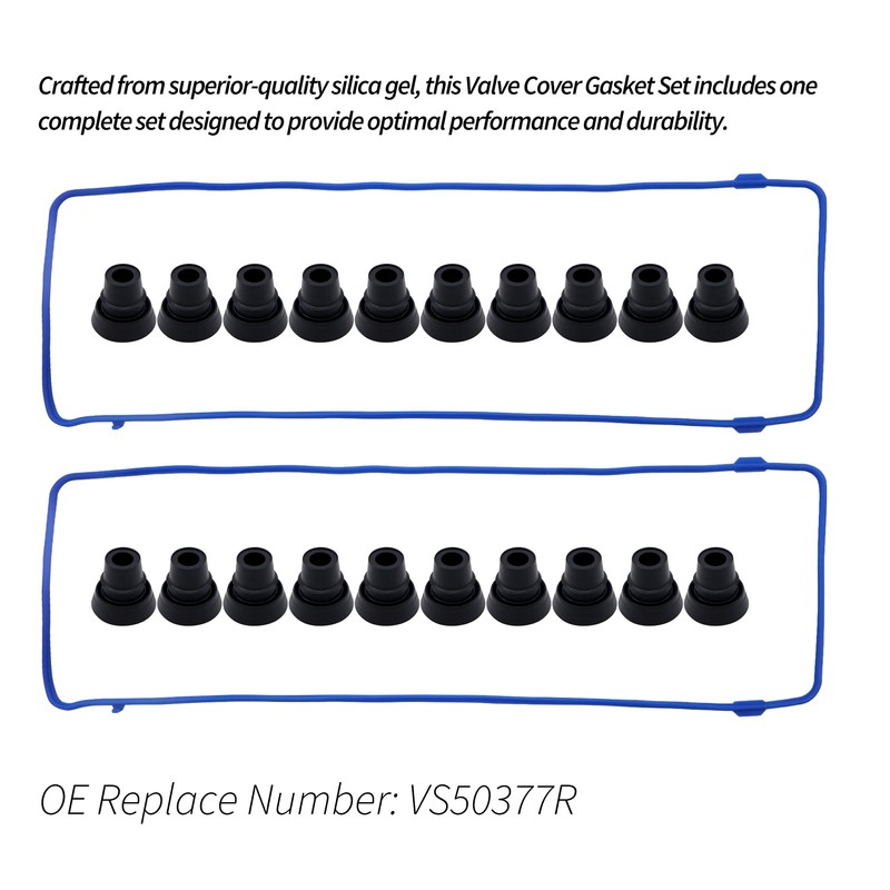 HiSport Valve Cover Gasket Seal - Compatible with Ford Lincoln