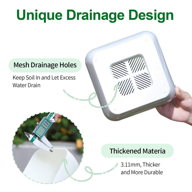 Succulent Pots 6 Inch Shallow Herb Planters with Drainage Hole