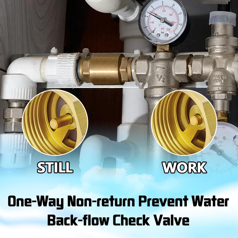 Boltigen 2PCS Solid Brass Spring Check Valve, 1/2 Inch NPT