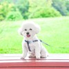 AIITLE No Pull Small Dog Harness and Leash Set -