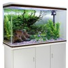 AWERT 24x16 inches Branches Fish Tank Background Seaweed Aquarium Background