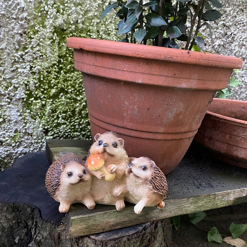 Objectz Hedgehog Group with Toadstool Table or Garden Decoration, Beautiful
