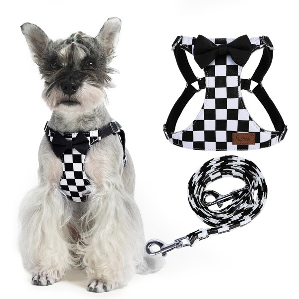 PUPTECK Dog Harness and Leash Set Small Sized, Step-in Cute