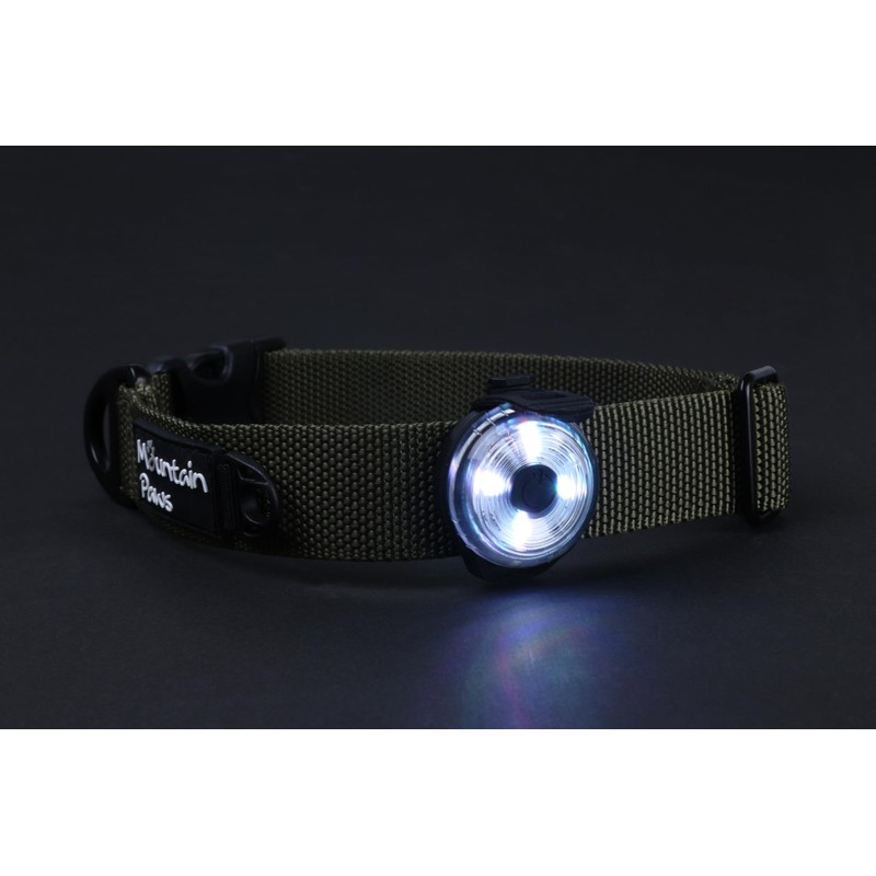 Mountain Paws Dog Collar Safety Light, 4 Colour Modes &