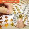 3500 Count Star Stickers for Paper Notebook, Journal Gold Silver