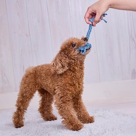 ADD. Mate Dog Toy, Denim Dental Rope, SS