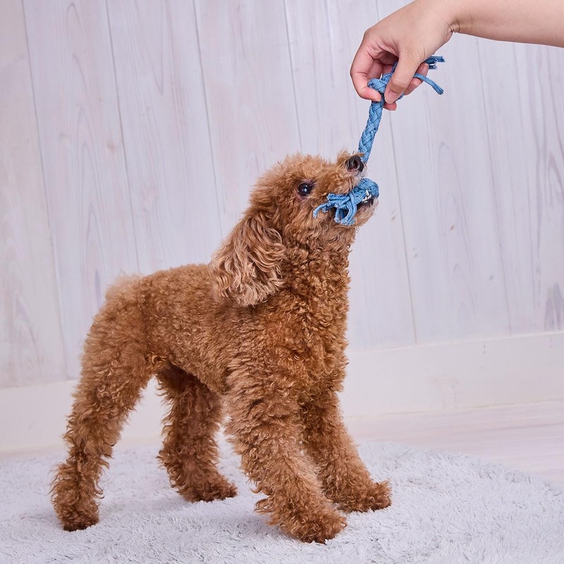 ADD. Mate Dog Toy, Denim Dental Rope, SS