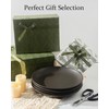 Tikooere Dinner Plates Set of 4, 10 Inch Ceramic Plates