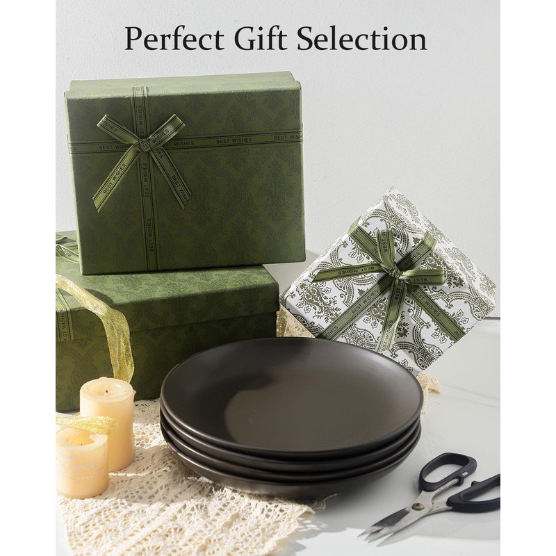 Tikooere Dinner Plates Set of 4, 10 Inch Ceramic Plates