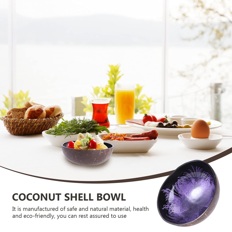 HEMOTON Coconut Bowls Natural Coconut Shell Bowl Decorative Key Storage