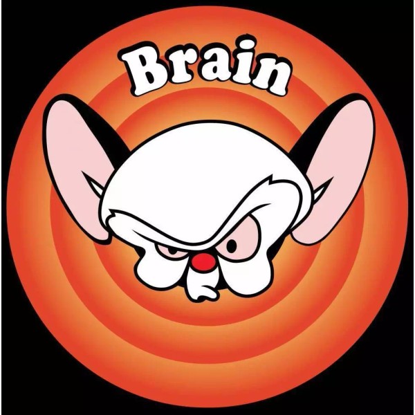Pinky and The Brain # 11 - 8 x 10