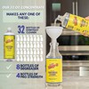 Whip It Cleaner, Multi Purpose Stain Remover CONCENTRATE, Makes 32