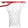 Champion Sports 416 6 mm Pro Non-Whip Basketball Net