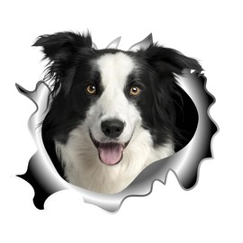 Car Sticker 25 cm (9.8 Inch) Border Collie Sticker Funny Border Collie Car Sticker Pet Dog Waterproof Sticker 3D Torn Metal Reflective Sticker Bumper Decor Sticker