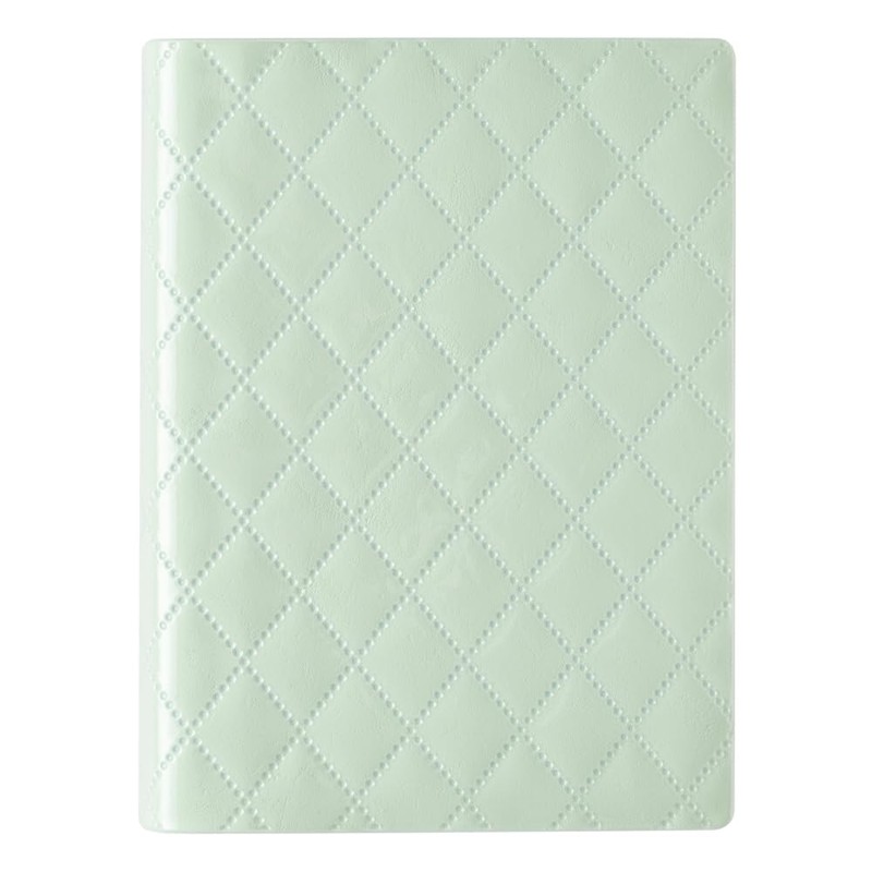 Bindex PH104 Personal Organizer, Mini 6 Sizes, 6 Holes, Efficiency