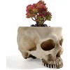 RMM Dulcero O Macetero De Resina Con Diseño De Calavera
