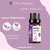 UVA NATURAL Aceite Esencial 10mL AROMATERAPIA (Magnolia)