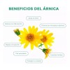 Body Esthetics Pack De 3 Jabones Árnica Con Aceite Caléndula