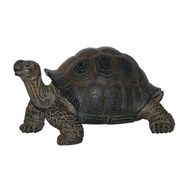 Pet Pal Baby Tortoise in Carrier