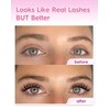Cat Eye Lash Clusters Wispy D Curl Cluster Eyelash Extensions