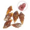 Kisangel Science Classroom Specimen 6pcs Agate Snail Models Educational Ancient