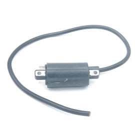 P SeekPro Ignition Coil for Briggs & Stratton 430447 433447 437447 580447 581447 583447 584447 587447 589447 820037