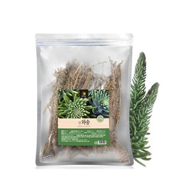 Dried Wasong 100g x 2 packs Domestic Gimcheon / 건조 와송 100g x 2팩 국내산 김천