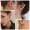 5 Pairs of Hoop Earrings for Men and Women, 316L